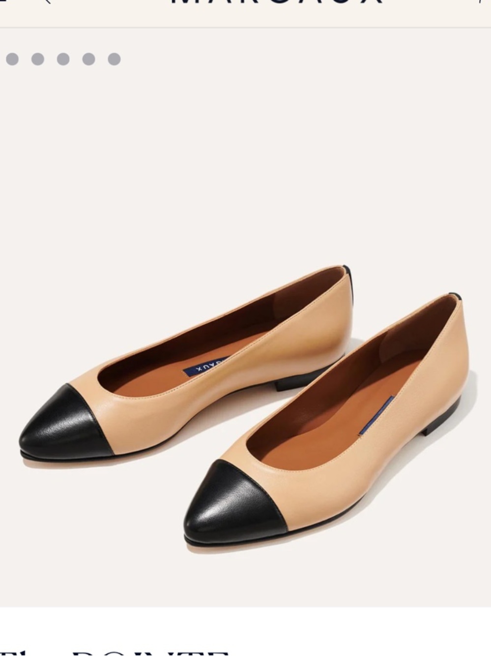 Margaux Two-Tone Pointed Toe Flats in Beige and Black - The Pointe